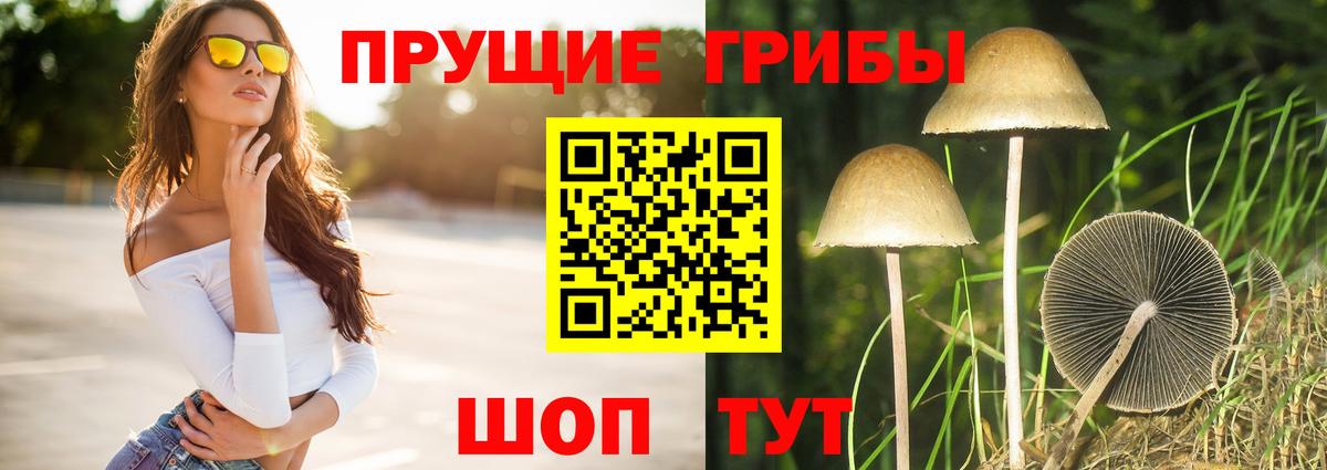 Псилоцибиновые грибы Psilocybine cubensis  Вход с VPN  Псилоцибиновые грибы ЛСД  Элиста 